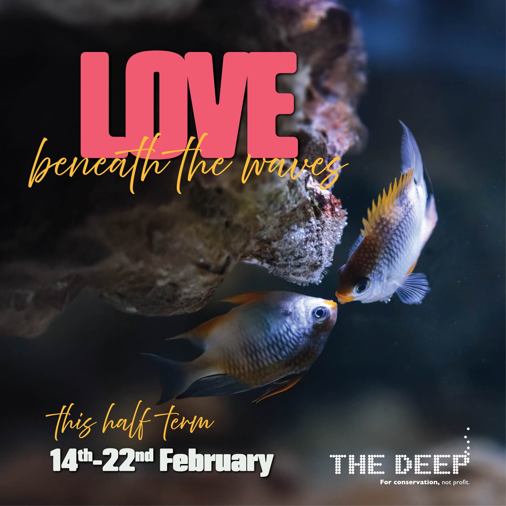 Love beneath the waves Social Eshot Whats On Thumbnail