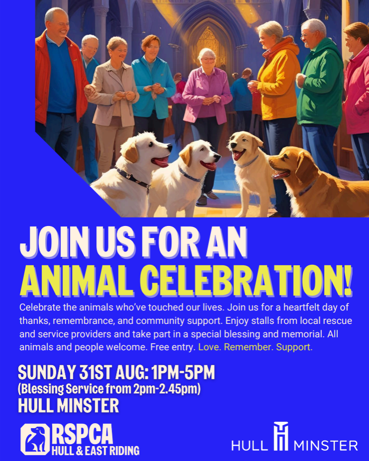 Screenshot 2025 08 21 112326