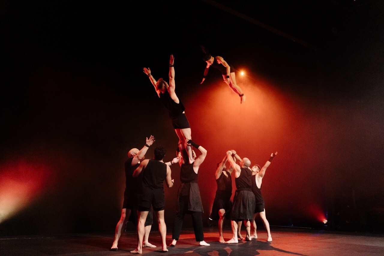 D735d78d 6bb1 4c06 9adc a85494cd580f