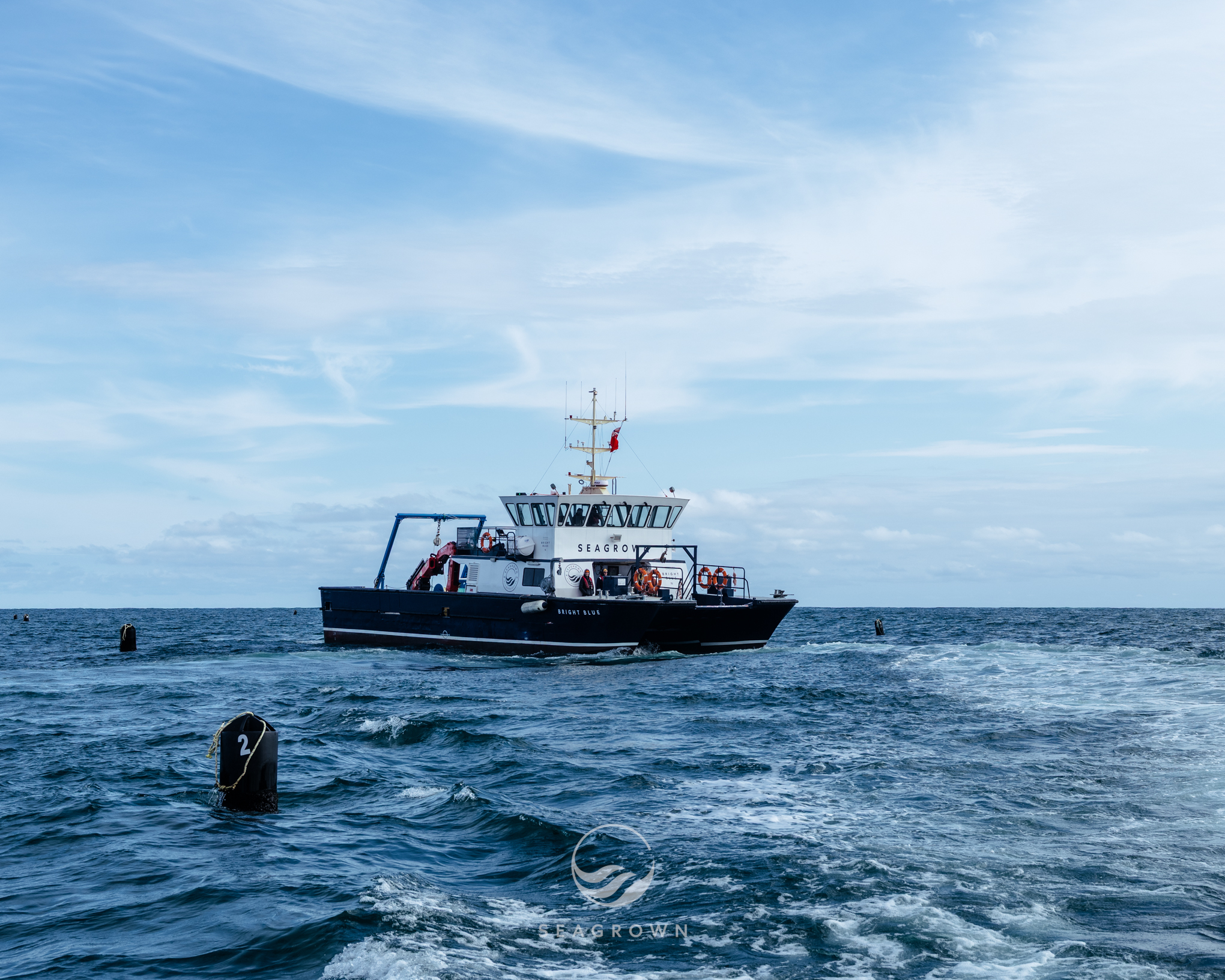 Sea Grown 24 09 GFXS5205 WM