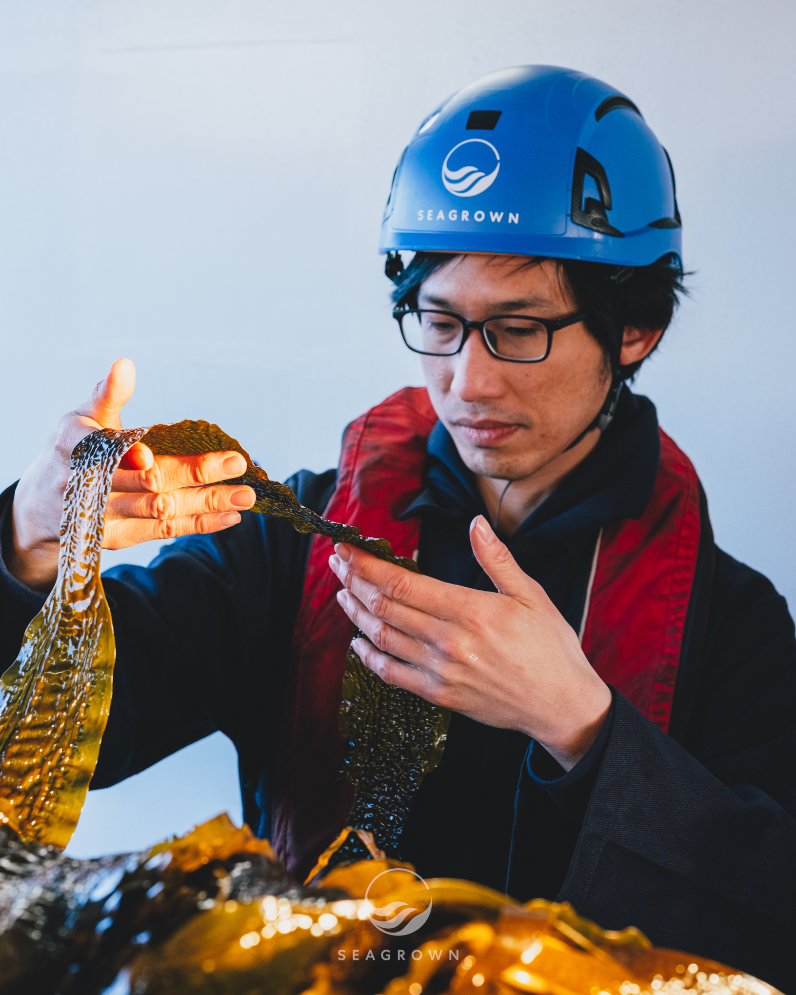 Sea Grown 25 04 GFXS6547 WM