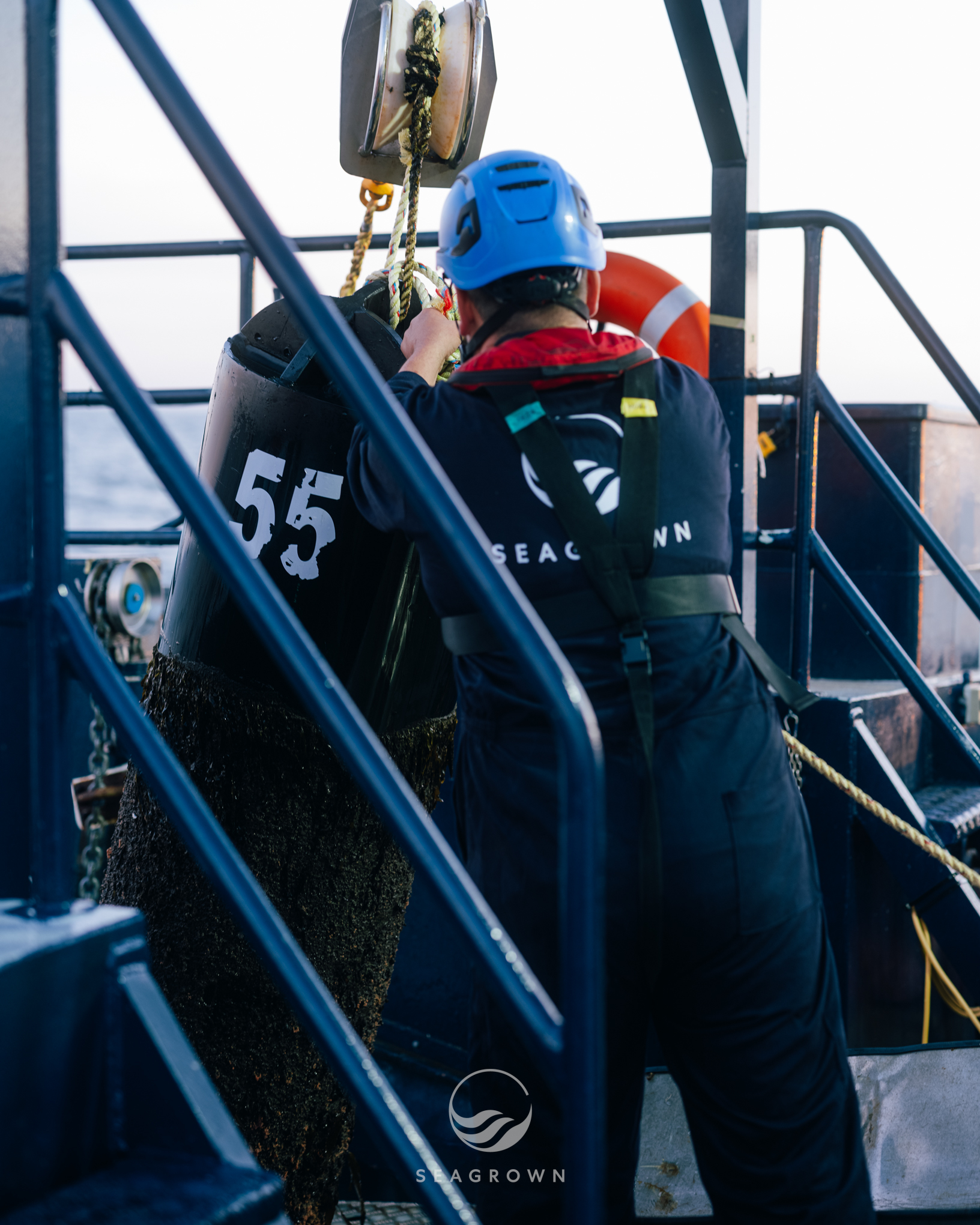 Sea Grown 25 08 GFXS7335 WM