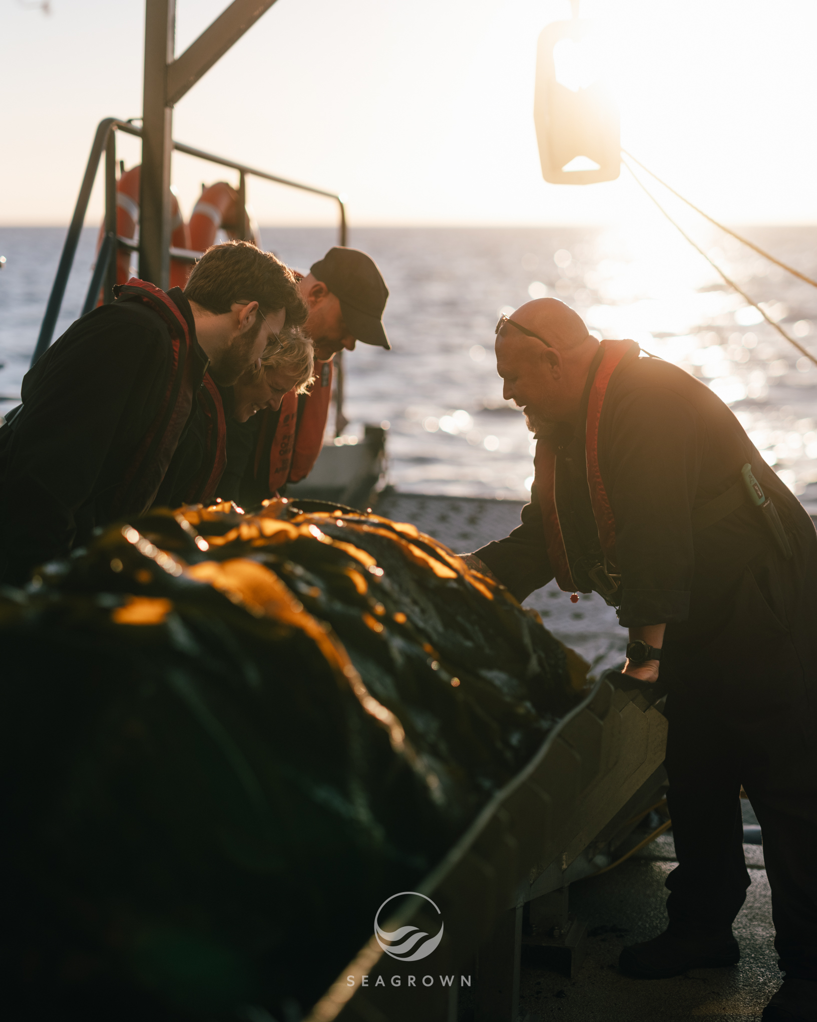 Sea Grown 25 08 GFXS7424 WM