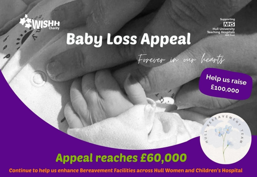 Website Baby Loss Appeal 60000