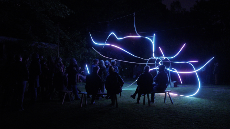 Sunshine on a Fallen Tree Pif Paf Credit Jake Barrett 1 MB