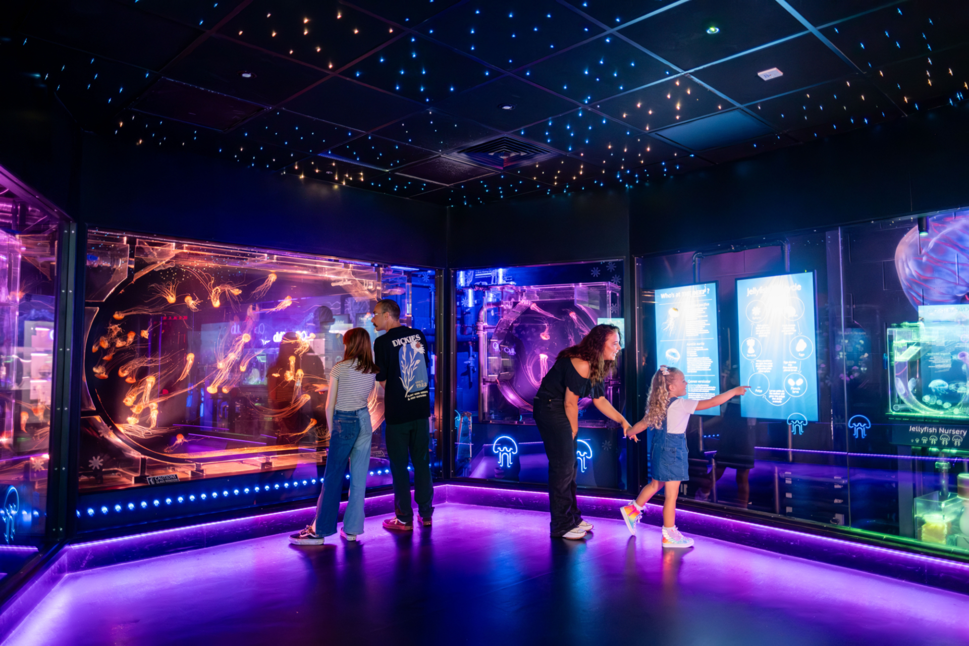 Future Humber 20240806 0221 Enhanced NR