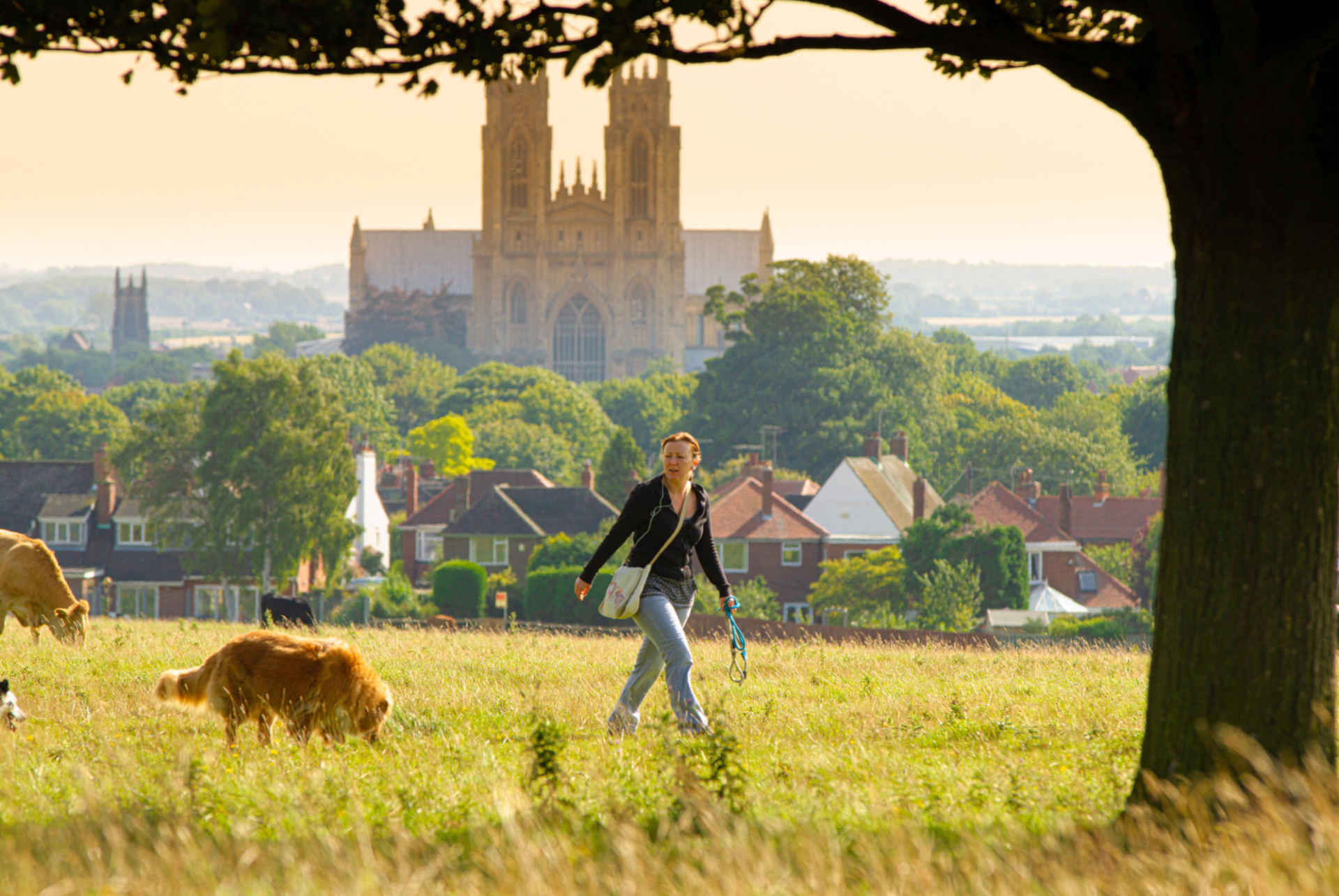 Beverley Westwood image we purchased from Neil Holmes for Your Time 3