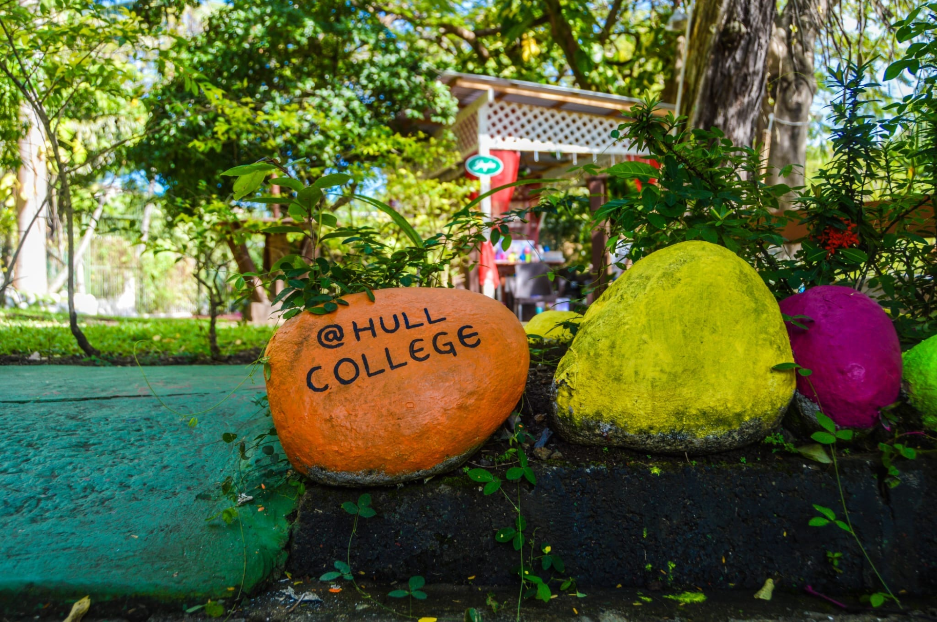 Previous Hull College International Trips St Lucia 2025