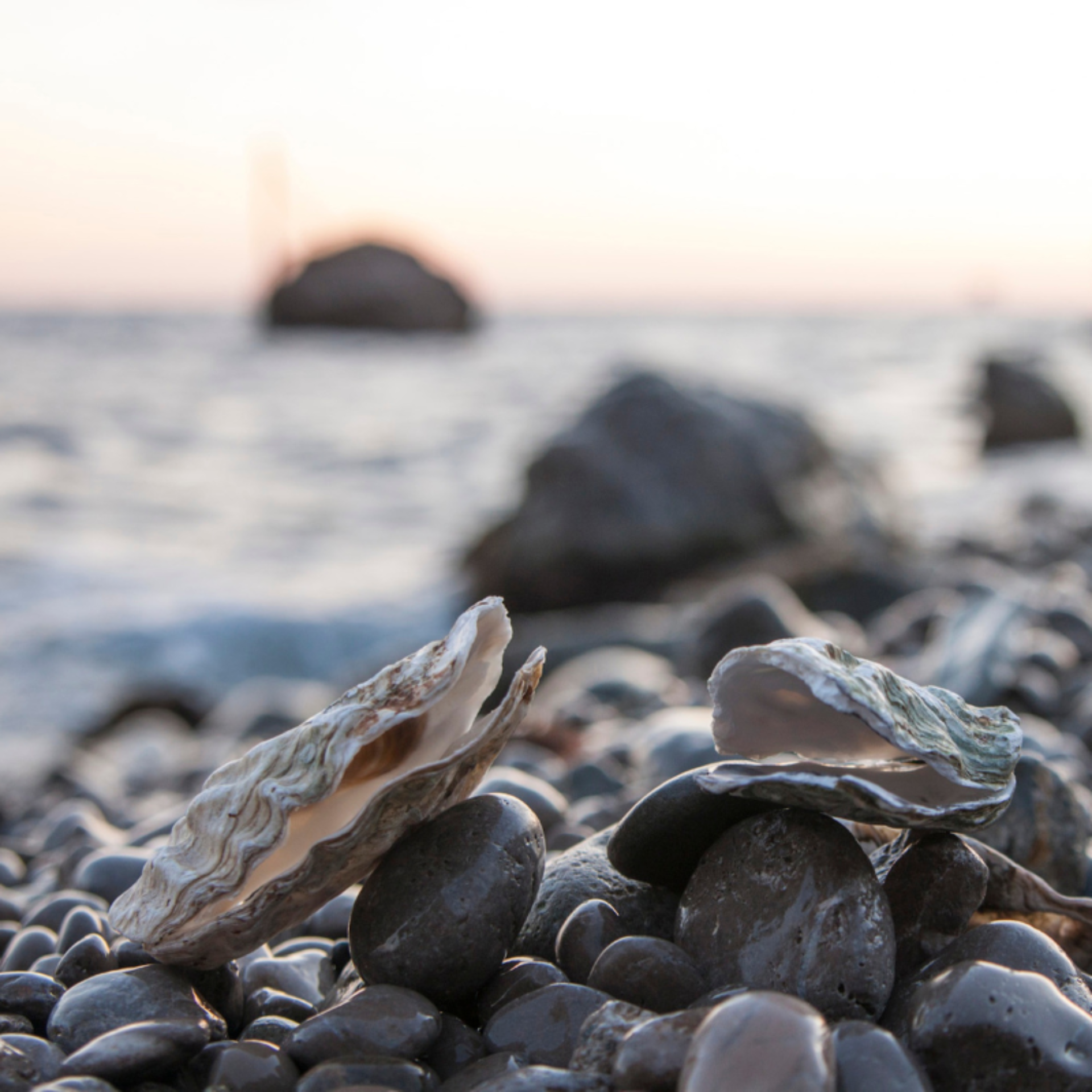 Untitled design 2024 09 12 T164330 596