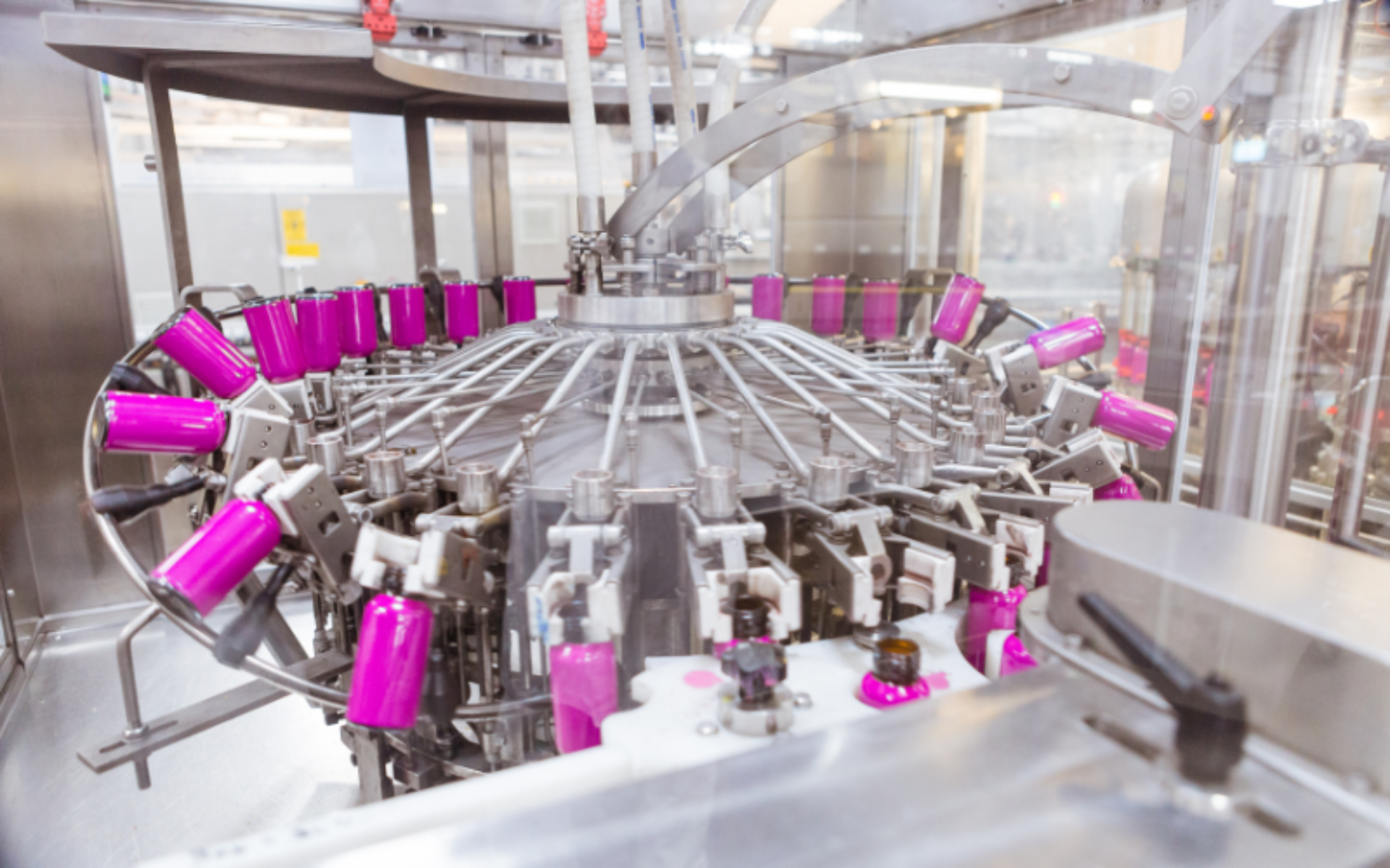 Untitled design 2024 09 25 T153958 113